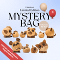 Limited Edition Mystery Bag 2026